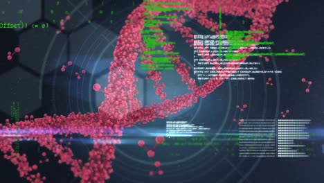 dna double helix and digital codes