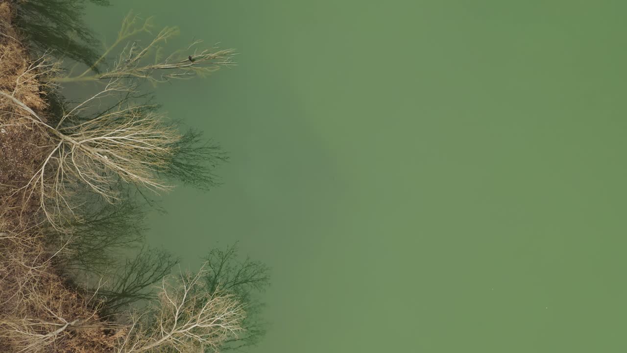 Aerial – Cinematic close up overhead shot above a lake with islands and herons