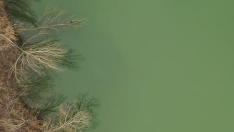 aerial – cinematic close up overhead shot above a lake with islands and herons