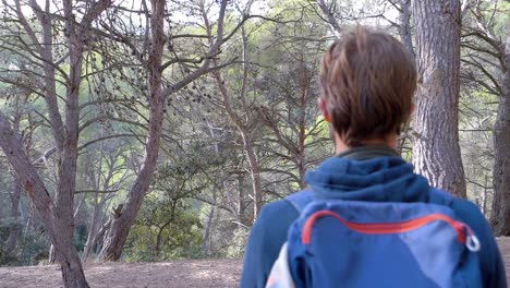 Slow-motion-shot-of-a-man-walking-through-a-forest-with-bare-trees-at-the-sete-salt-flats