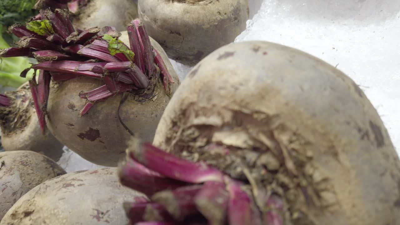 Pan shot of Beta vulgaris (beet) with ice, handheld shot