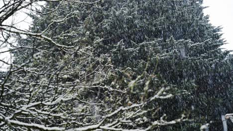 Starker-Schneefall-Vor-Großem-Baum,-Winterliche-Szenerie,-Fazit