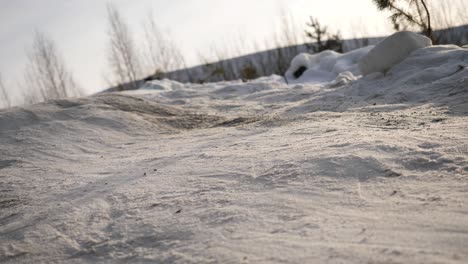 person walking in snow-covered area