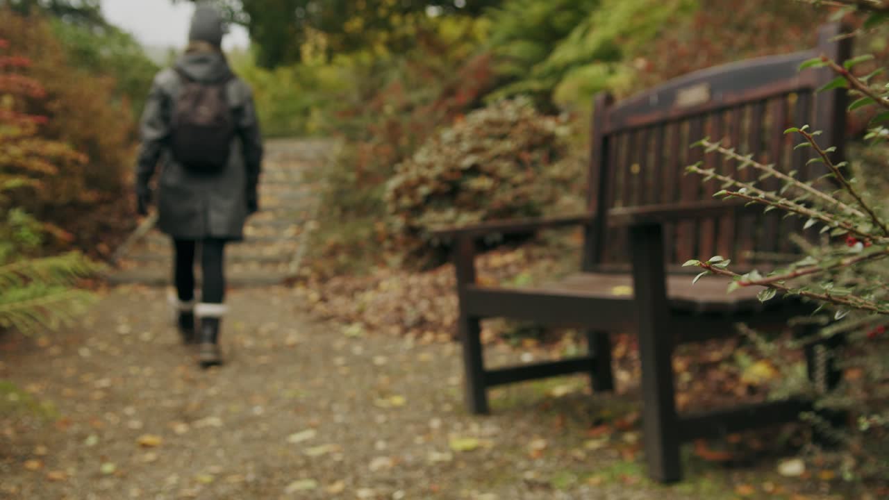 Woman rambler climbs steps in Autumn Botanical garden park scene