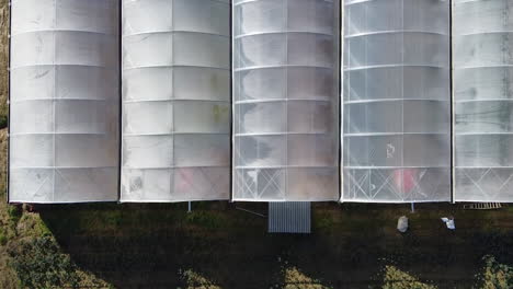 Close-up-of-greenhouses-for-various-plants.-Aerial