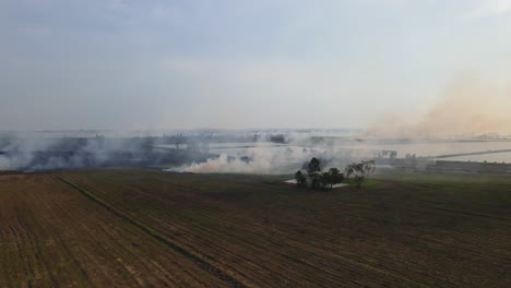 ascending aerial footage of this farmland burning creating pollution, pak pli, nakhon nayok, thailand