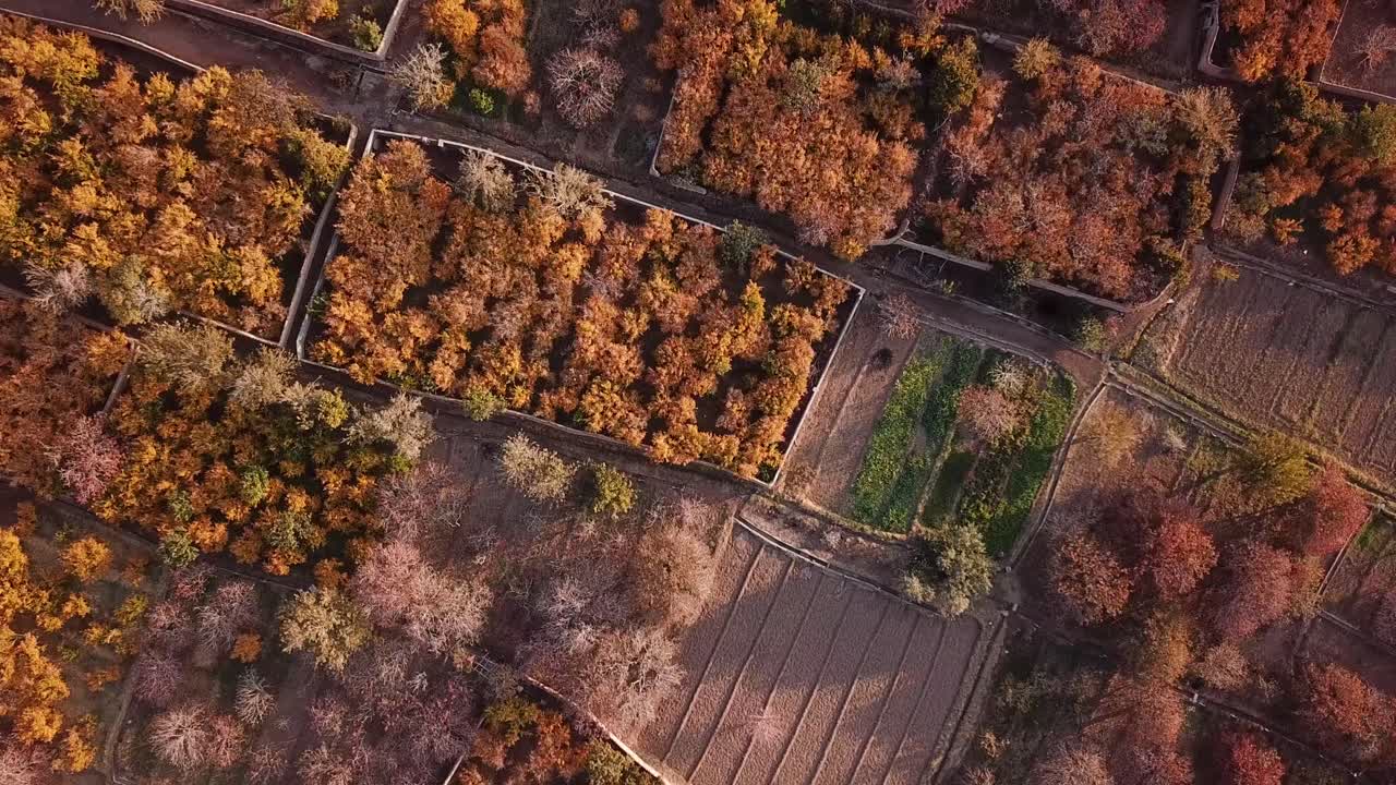 이란의 드론 오버 가든 중동 아시아 수박 정원 새 눈 풍경 가을 가을 겨울 시즌 수확 사막 지역에서 빨간 매운 과일 야즈드 아크다 아르다칸 진 ⁇  벽돌 도시
