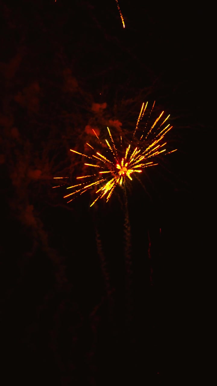 Fuochi d'artificio dorati che esplodono nel cielo notturno