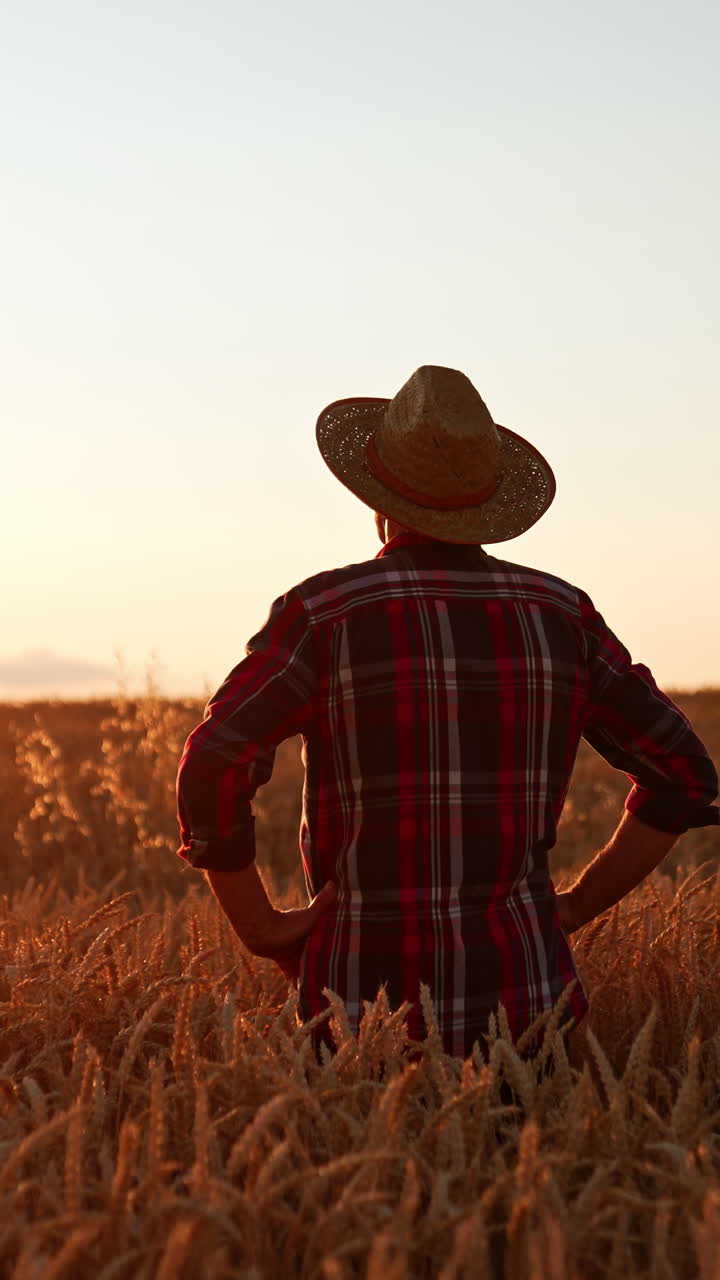 Farmer in a Wheat Field at Sunset