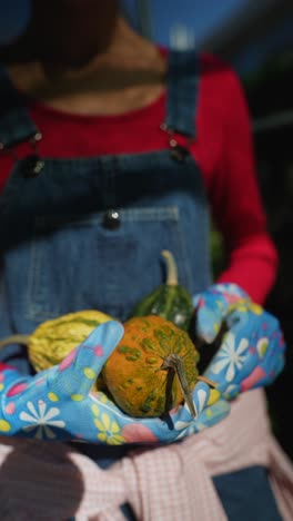 woman holding pumpkins and gourds in garden gloves