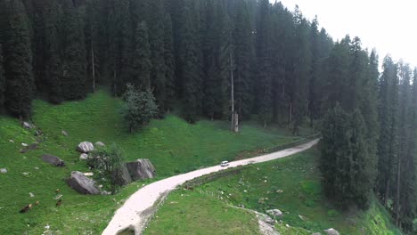 Hermosa-Toma-Aérea-De-Un-Automóvil-Que-Desaparece-En-El-Bosque-En-Himachal-Predesh