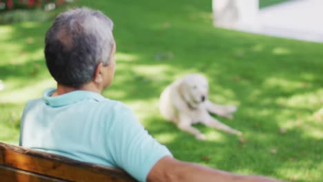 Video-of-back-view-of-biracial-senior-man-sitting-on-bench-in-garden-with-dog