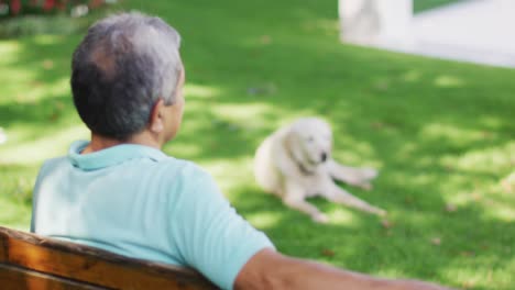 video of back view of biracial senior man sitting on bench in garden with dog