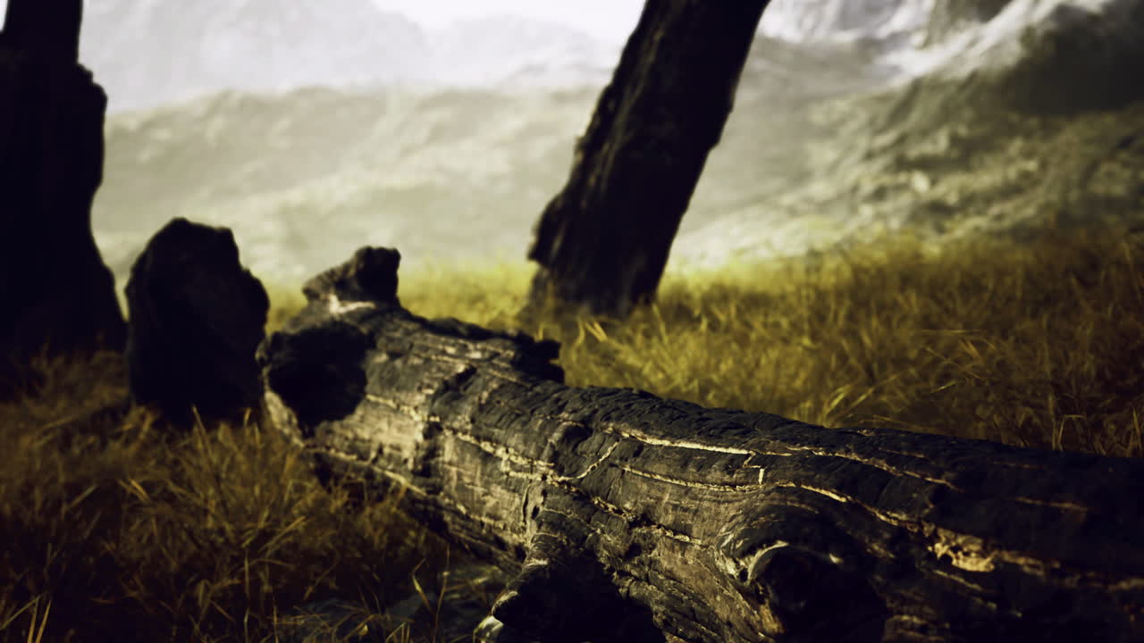 Natural landscape featuring a fallen tree in a meadow during daylight hours