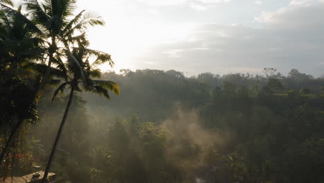 Mujer-Viajera-Balanceándose-Sobre-La-Jungla-Al-Amanecer-Disfrutando-De-Unas-Vacaciones-Exóticas-Sentada-En-Un-Columpio-Con-El-Sol-Brillando-A-Través-De-Palmeras-En-La-Selva-Tropical-Libertad-De-Estilo-De-Vida-De-Vacaciones