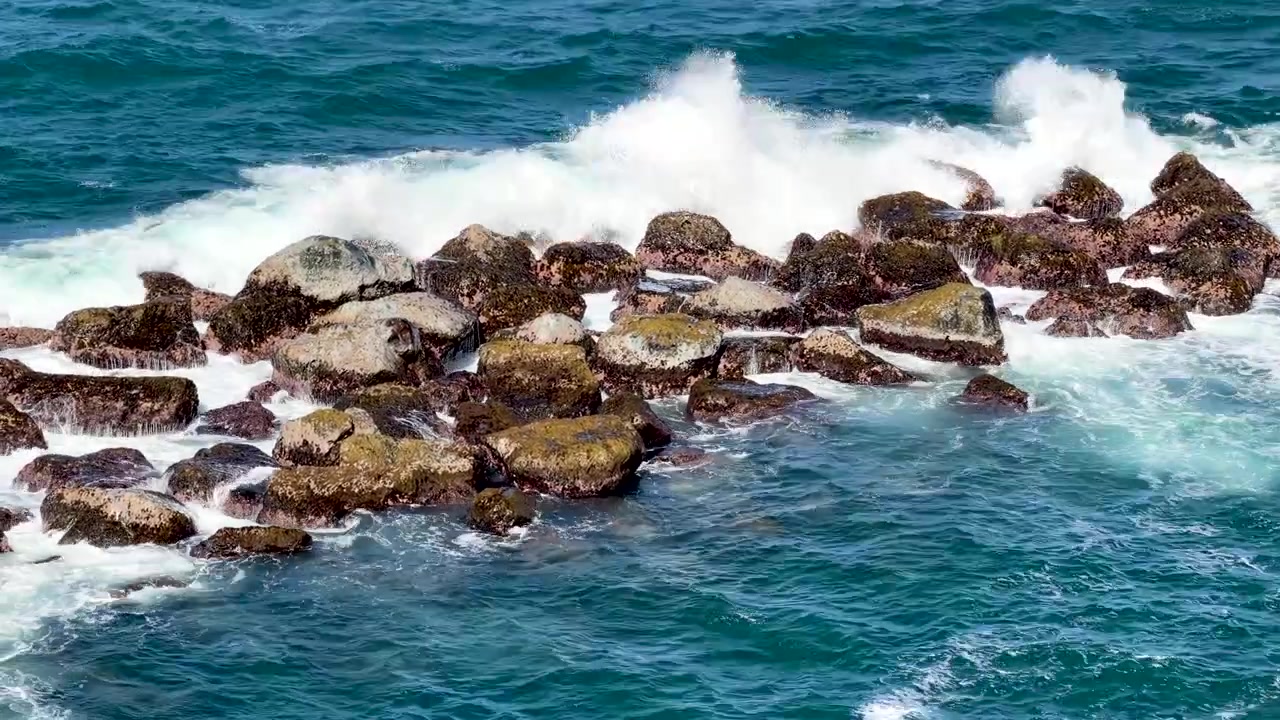 Inquadratura media dall'alto di onde oceaniche di un blu profondo che si infrangono e creano schiuma bianca su rocce scure coperte di alghe sulla splendida costa caraibica