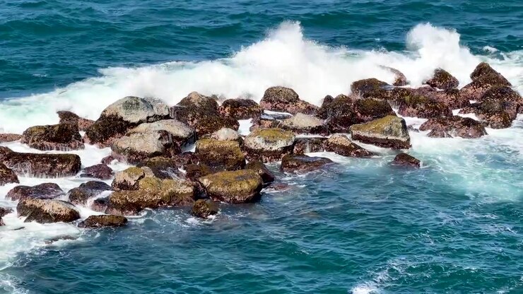 Inquadratura media dall'alto di onde oceaniche di un blu profondo che si infrangono e creano schiuma bianca su rocce scure coperte di alghe sulla splendida costa caraibica