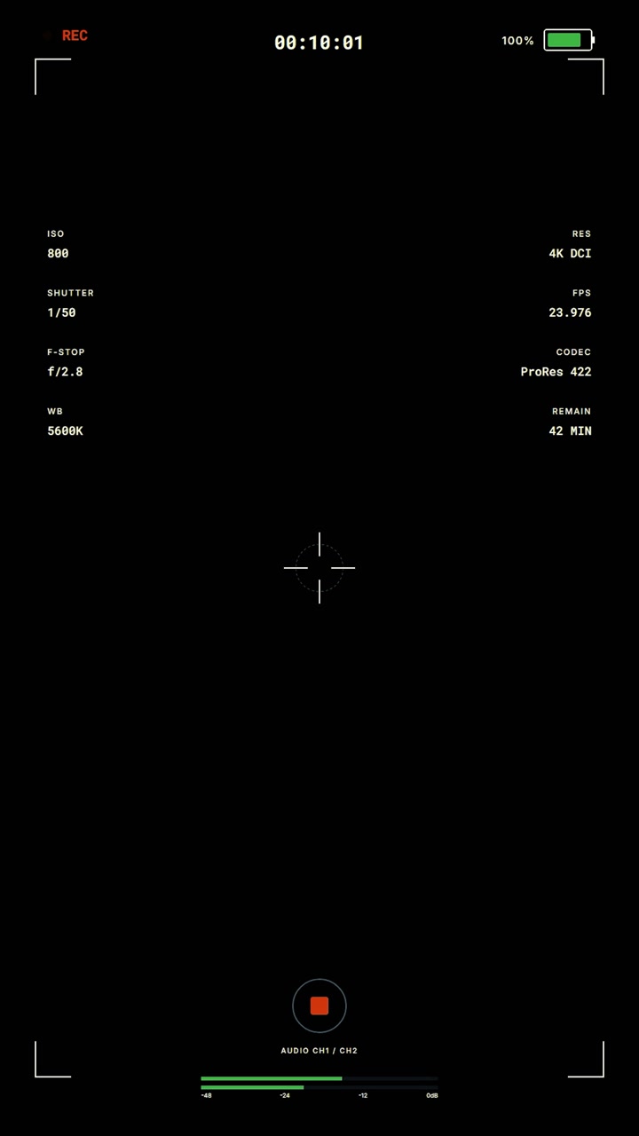 Digital Camera Recording Interface Overlay