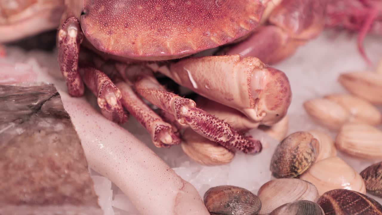 Le zampe del granchio si muovono sopra il ghiaccio con vongole e calamari sullo sfondo