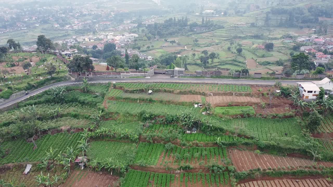 논 언덕 한가운데 펼쳐진 길