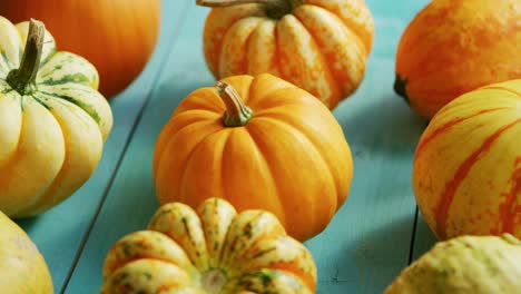 Pumpkins-laid-in-row-on-table