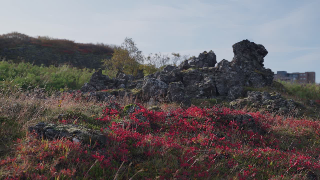 아이슬란드 남부 의 밝은  ⁇ 은 가을 색