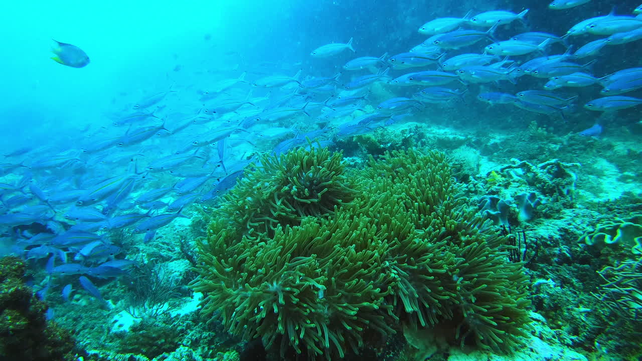 The blue army is on it's way