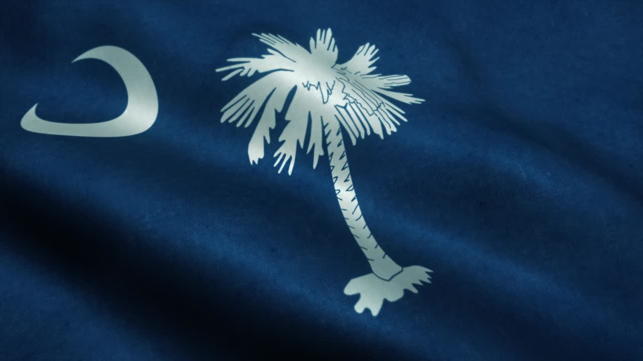 la bandera del estado de carolina del sur ondeando en el viento. la bandera nacional de carolina del sud. el signo del estado de caroline del sur animación de bucle sin costuras. 4k