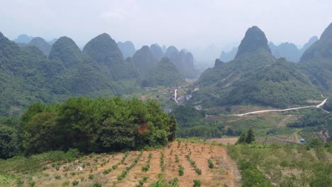 Footage-Clip-Einer-Karstberglandschaft-Und-Einer-Terrassierten-Teeplantagenlandschaft-An-Einem-Sonnigen-Tag,-China