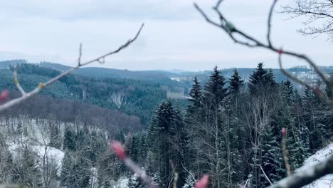 Aufnahme-Durch-Äste-In-Einer-Winterlichen-Landschaft-Mit-Bäumen-Und-Hügeln-Im-Schnee