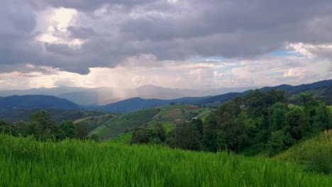 Timelapse-Del-Campo-De-Arroz-Verde-Durante-La-Temporada-De-Lluvias-Con-Hermoso-Cielo