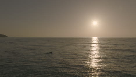 Apple-Prores-422-Surferin-Auf-Dem-Longboard-Paddelt-In-Den-Sonnenuntergang,-Sonnenaufgang-über-Dem-Atlantik-Auf-Den-Kanarischen-Inseln-Von-Fuerteventura,-Gefilmt-Mit-DJI-Mavic-3-Cine