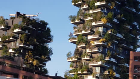 apartamentos ecológicos altos y verdes con plantas en el exterior del edificio de cerca