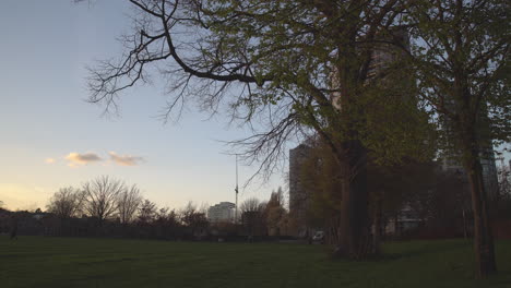 king george's park in london at sunset, wind blowing through the trees at golden hour