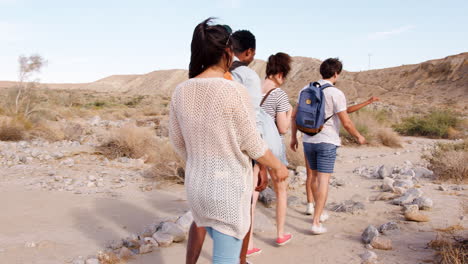 five young adults hiking in palm springs desert, follow shot