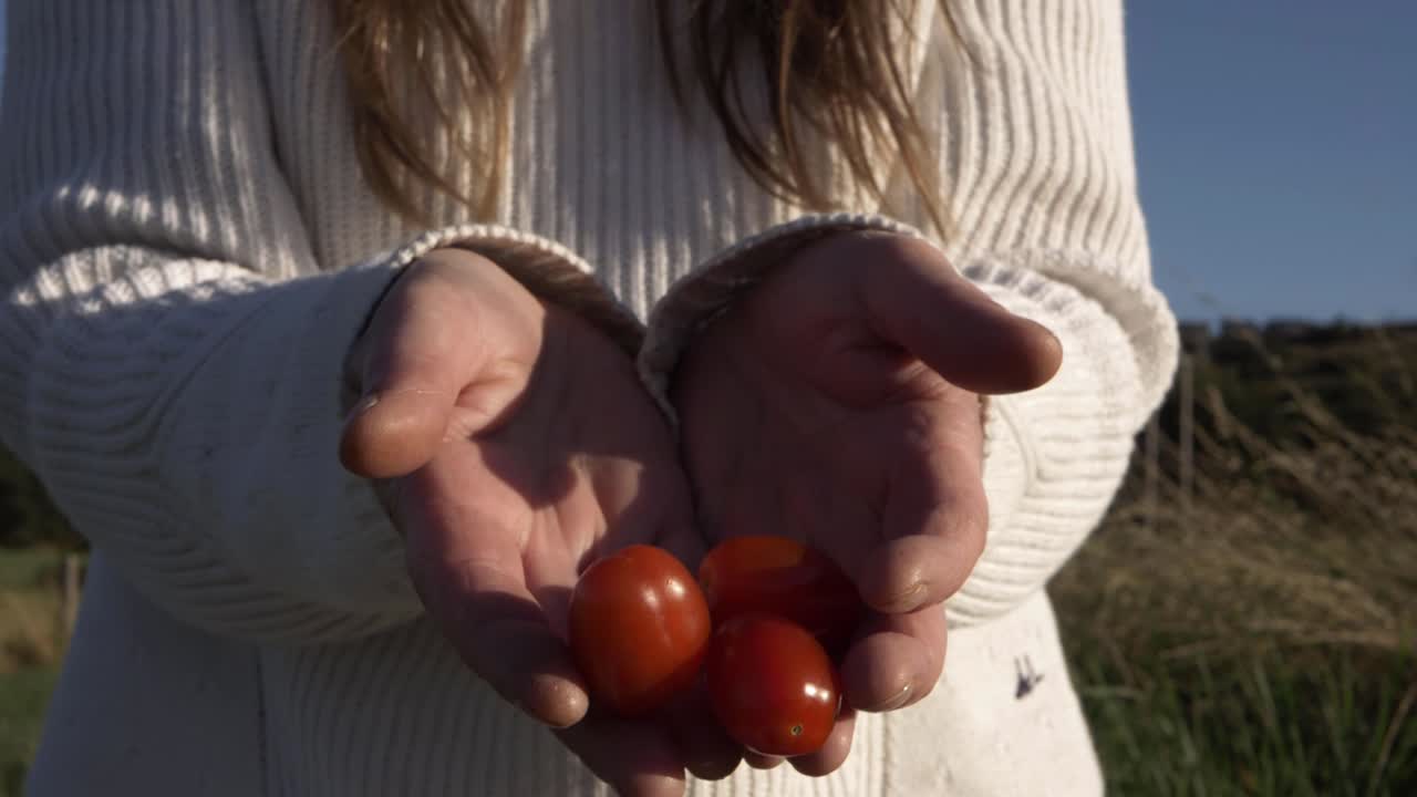 Fresh cherry tomatoes dropping from hands medium shot