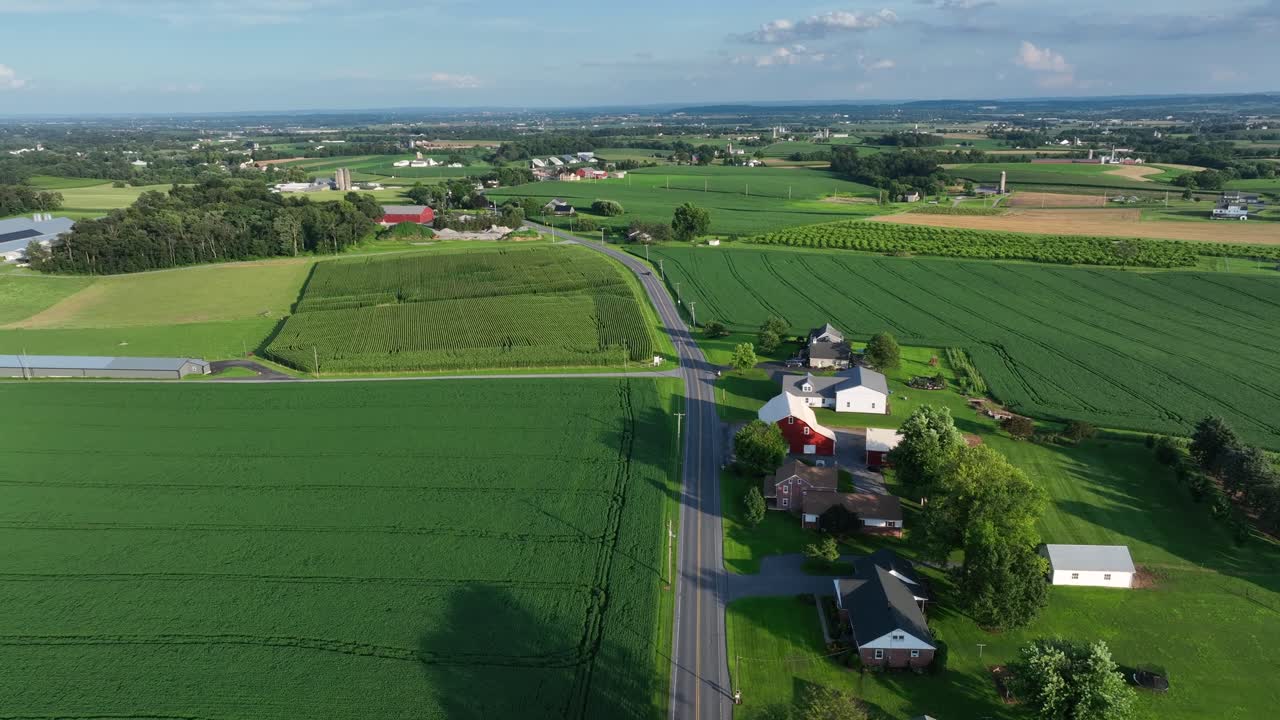 Picturesque landscape with street between farm fields at sunny day. Aerial view. Barns and farmstead in quiet suburbia of Midwest, America