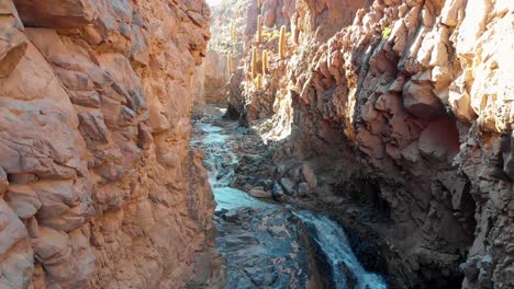 Aerial-cinematic-view-going-up-inside-a-popular-cactus-canyon-near-San-Pedro-de-Atacama-in-the-Atacama-Desert,-northern-Chile,-South-America