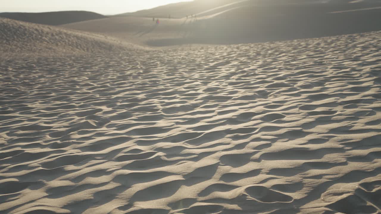 Sand Dunes Landscape