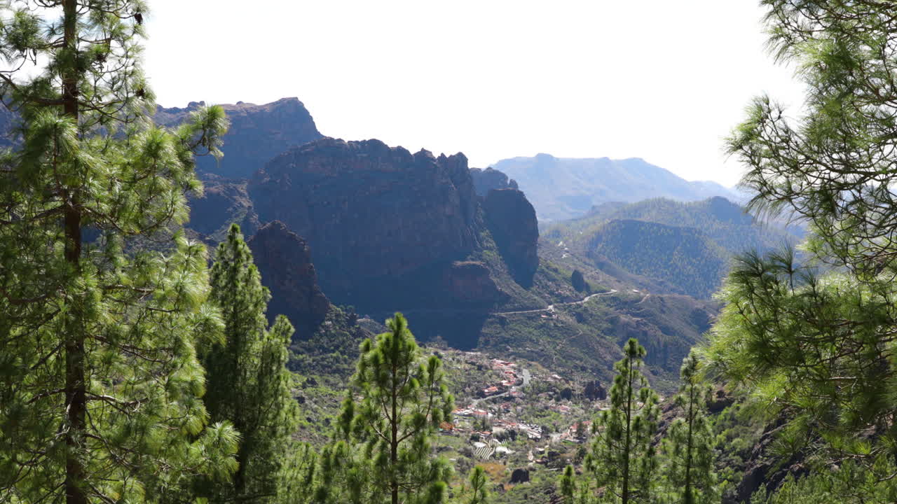The narrow forest with trees winding road leading under a ridge of rocks spinning in a national park with passage of cars during sunny days Gran Canary island 4k slow motion capture at 60fps