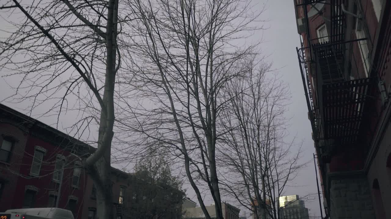 뉴욕 브루클린 거리에서 추락하는 카메라