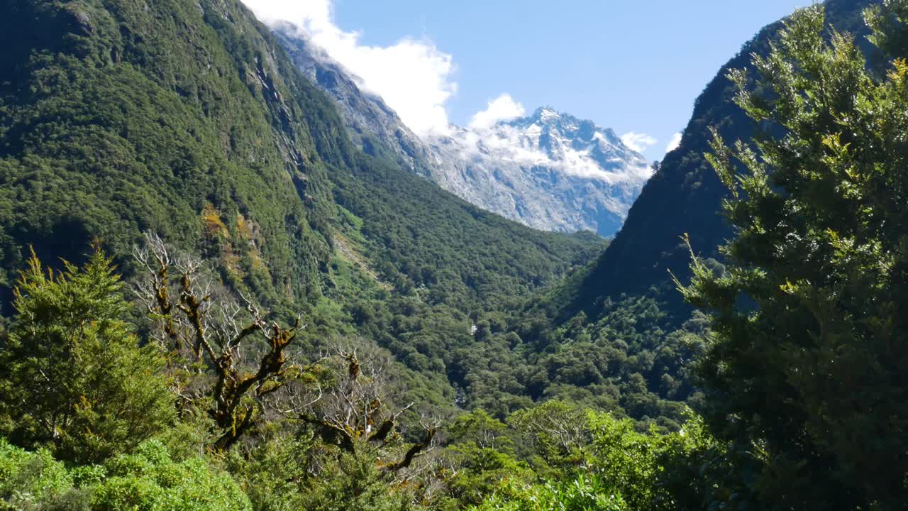 plano general de densas montañas con vegetación y pico nevado en el fondo durante el día soleado - parque nacional fiordland, nueva zelanda