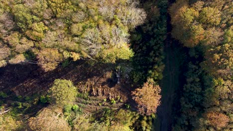Deforestation taking place in UK captured by drone in 4K