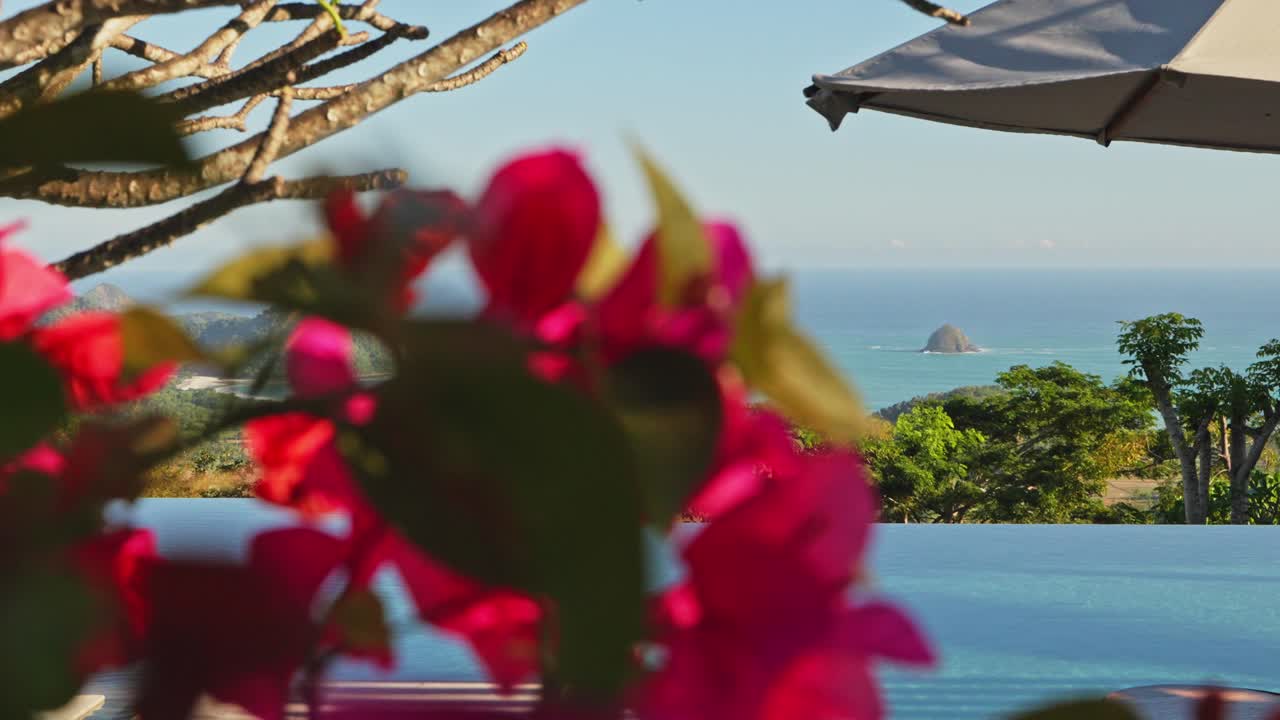 정원과 바다를 바라보는 경치 좋은 전망대가 있는 럭셔리 인피니티 수영장