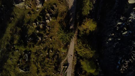 Top-down-aerial-view-of-tree-tops-in-Val-di-Mello-in-Sondrio,-golden-hour