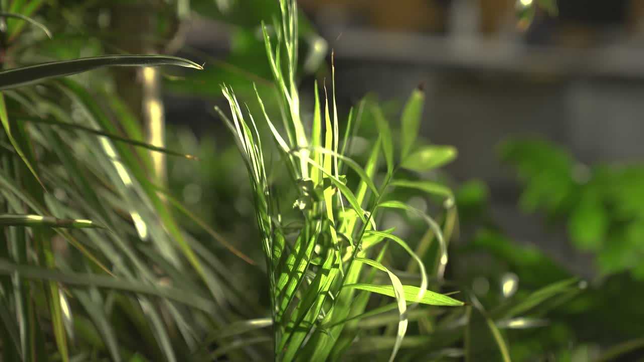 pantalones verdes interiores en el área de la oficina