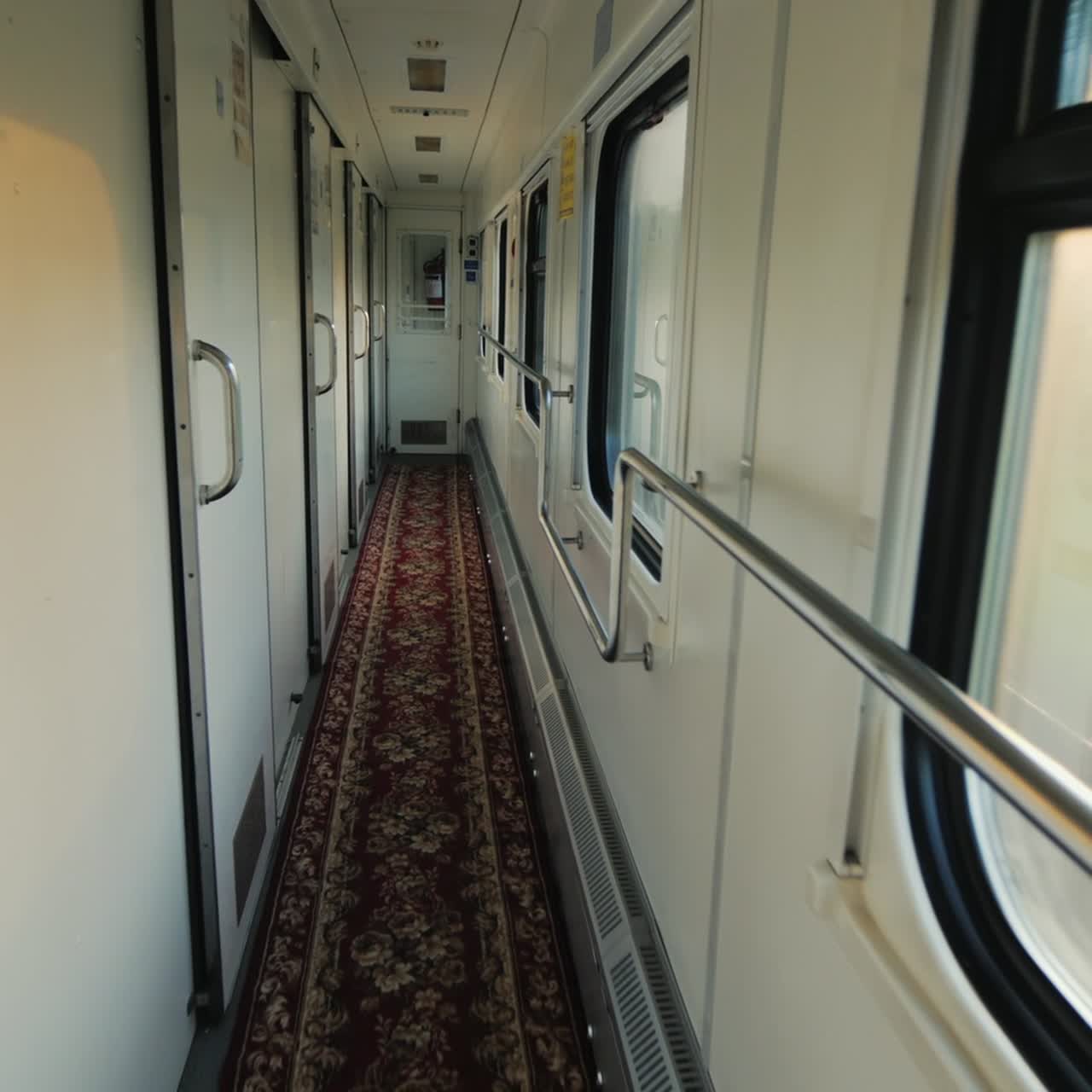 la vista desde el vagón de tren en movimiento rápido