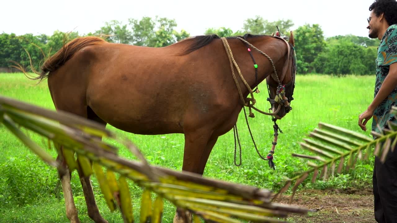 joven guapo con caballo marrón