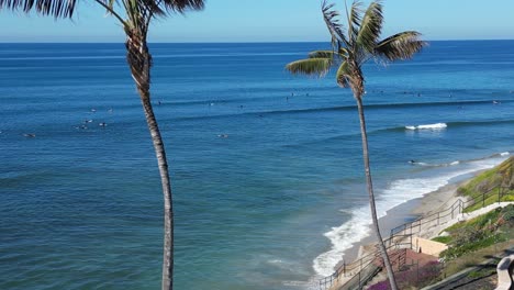 Drone-shot-panning-up-and-over-Palm-Trees-revealing-Surfers-surfing-in-Southern-California-on-a-beautiful-winter-day