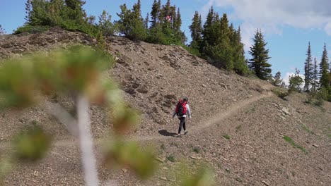 wide-shot-of-girl-walking-mountain-side-on-a-hiking-path-in-Golden,-British-Columbia,-Canada